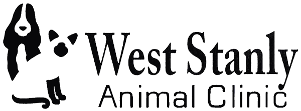 West Stanly Animal Clinic