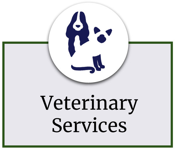 Veterinarian in Locust, NC HighQuality Vet Care & Hospital
